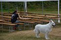 MCE Sommertreffen 2015 - 075